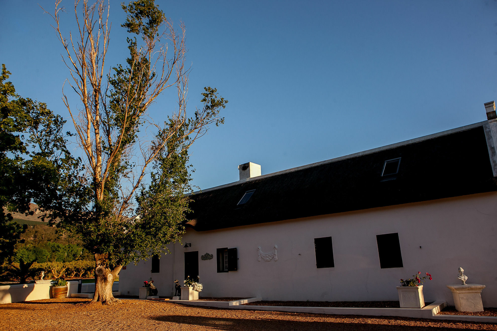 1692 De Kleijne Bos Country House Парл Екстериор снимка